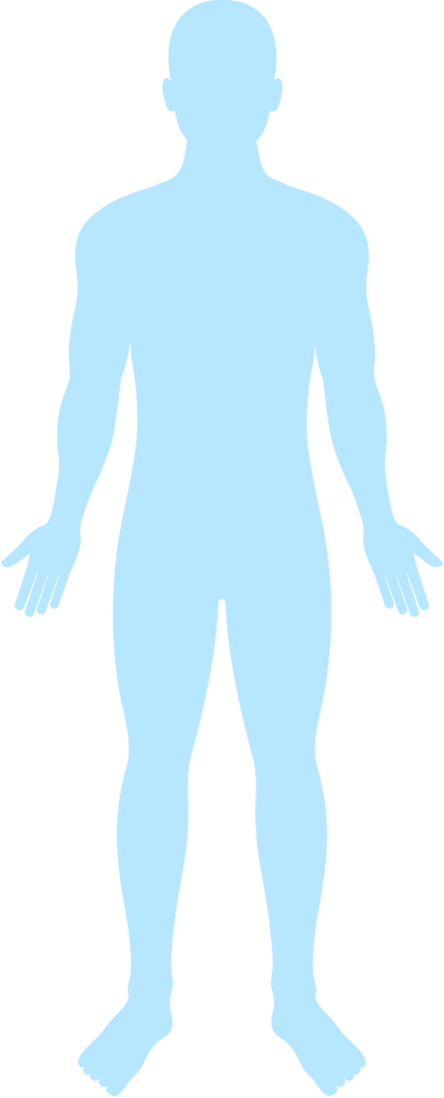 Body diagram — effective contact zones silhouette